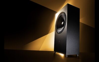 Ascendo SMSG21 Subwoofer