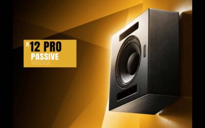 Ascendo The12 Pro Passive Wedge Speaker