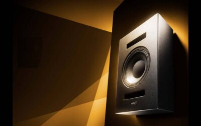 Ascendo The12 Pro Passive On-Wall Speaker