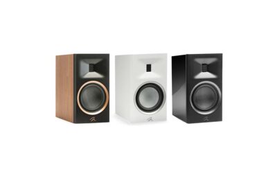 Martin Logan Motion B10 Speaker