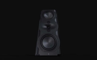 Perlisten Audio R5m Monitor Speaker