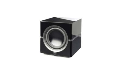 Martin Logan Dynamo 10 Subwoofer