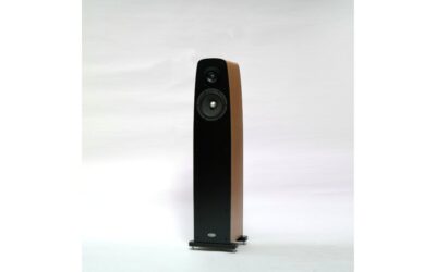 ART Emotion Carbon 6 Loudspeaker