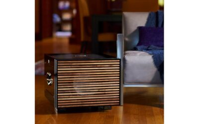 REL Carbon Special Black Label Subwoofer