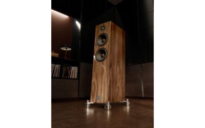 Marten Dexter Trio Speaker